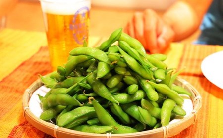 75E-B5A【訳あり】新潟長岡産枝豆長岡茶豆5.0kg【B品】