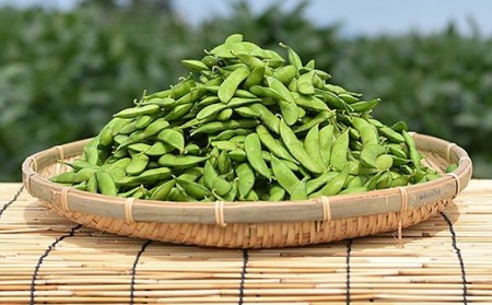 75E-15新潟県長岡産枝豆2.0kg【長岡茶豆250g×8袋入り】