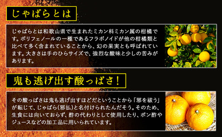 神三味 1袋 10g 株式会社しおん 《90日以内に出荷予定(土日祝除く)》 和歌山県 紀の川市