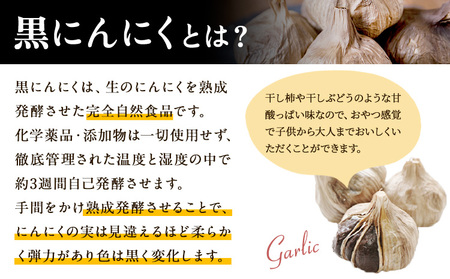 にんにく製品詰め合わせセット ロイヤルリノベーション株式会社 《90日以内に出荷予定(土日祝除く)》 和歌山県 紀の川市