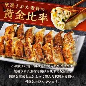 富士山北麓 餃子 120個 ぎょうざ 冷凍 餃子 ギョーザ