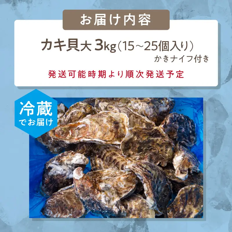 【予約：2026年10月中旬から順次発送】サロマ湖自慢の殻付きカキ貝 大 3kg詰め ( 牡蠣 かき 濃厚 大きい 魚介類 貝類 殻付 殻付き牡蠣 BBQ バーベキュー )【114-0072-2026】