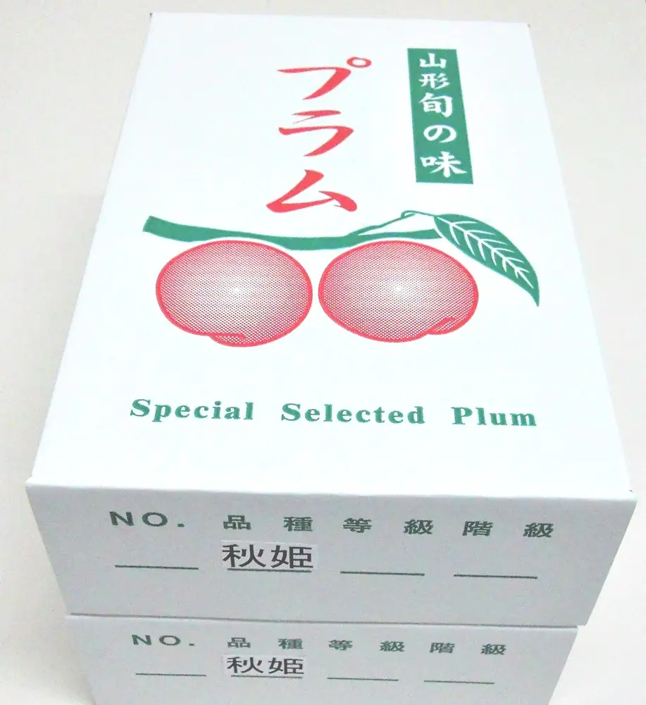すもも（秋姫）２.４ｋｇ　0017-2607