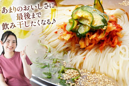 冷麺 りんご苑の冷麺 スープ付 10食 2箱 セット 計20食 [りんご苑 山形県 高畠町 tk06ays660001]