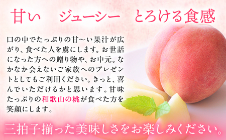 桃 もも 【秀品】 5～8玉入 ときわオンライン《6月下旬～8月末頃出荷》