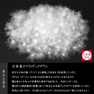 【河田フェザー使用】 ソフトでまぁ～るい 羽根クッション（JWC-36）低反発 高反発 座布団 クッション 羽根 日本製 おしゃれ kawada 河田フェザー 正規品 癒し やすらぎ 高級 カラー おまかせ サークル 円 丸 まる