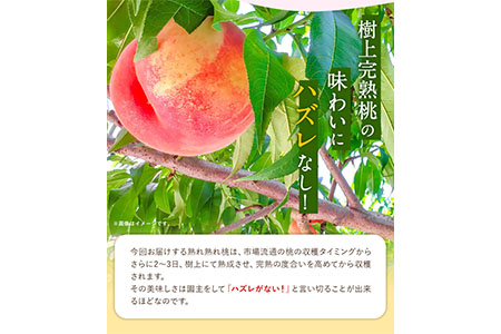 観音山熟れ熟れ桃（白鳳）2kg