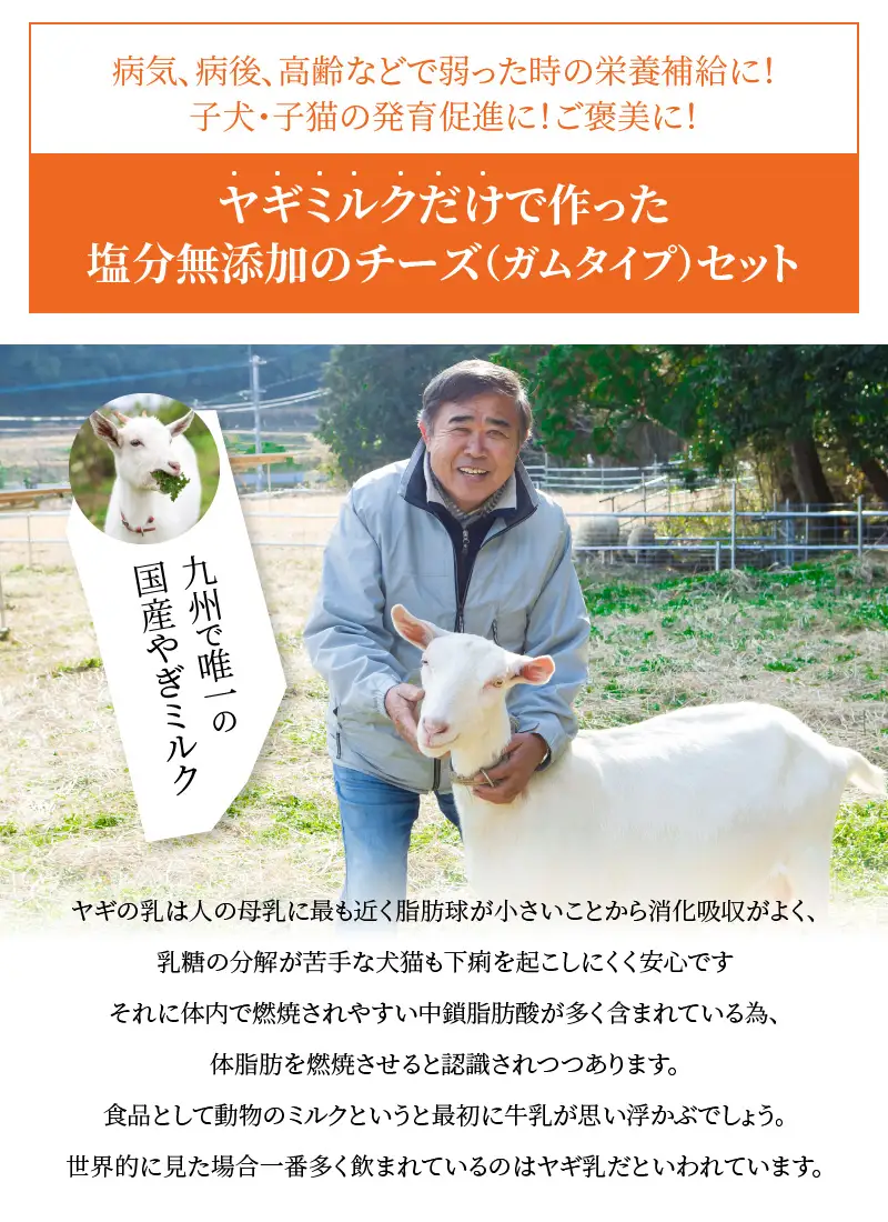ワンちゃん、ネコちゃんの大好きなヤギミルク5本と、やぎミルクチーズ（ガムタイプ） R14081