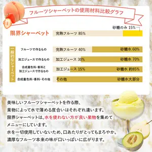 限界シャーベット 6個セット J06018
