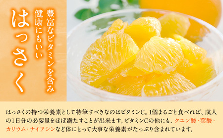 手剥き八朔缶詰(ミックス)450g×8本入 JAわかやま 紀の里地域本部 《90日以内に出荷予定(土日祝除く)》和歌山県 紀の川市