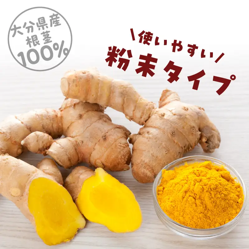 秋ウコン粉末 大分県産 栽培期間中は農薬・化学肥料未使用 F09001