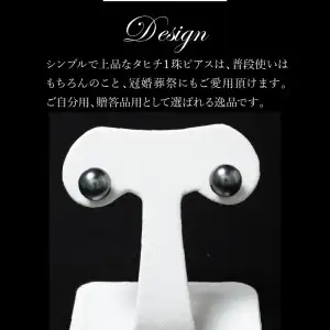 タヒチ黒真珠ピアス 真珠10mm 14Kホワイトゴールド R14115