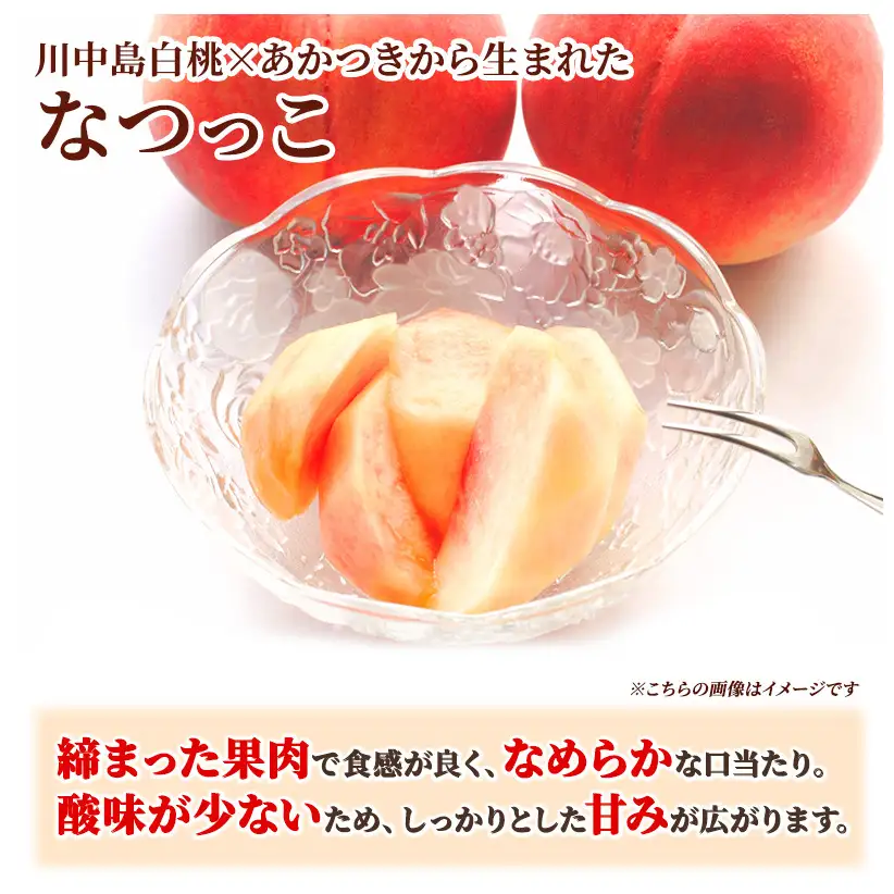 桃 先行予約 浅間水蜜桃 なつっこ 約5kg 秀品 13～22玉 フルーツ 果物 白桃 甘い 冷蔵
