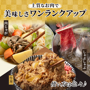 飛騨牛 牛肉 切り落とし 500g×4 計2kg A5 和牛 焼肉 もも肉 モモ バラ カルビ お肉 ブランド和牛 