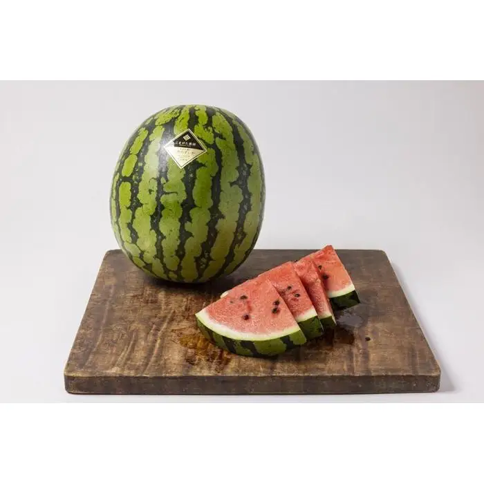 【2026年7月下旬〜8月上旬順次発送予定】高級南魚沼八色産スイカ「こまがた家の八色のスイカ」プレミアム大玉 1玉