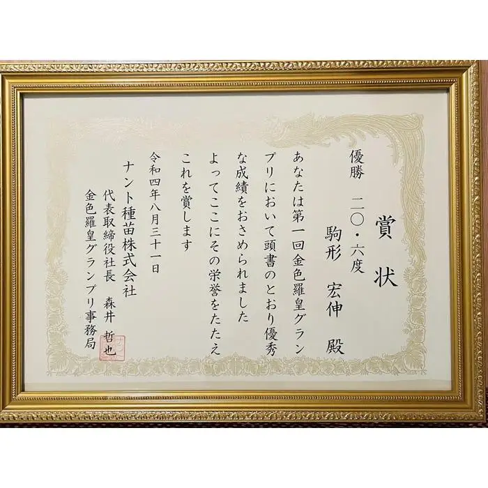 【2026年7月下旬〜8月上旬順次発送予定】糖度日本一・金賞W受賞 金色羅皇  最高級南魚沼八色産黄色スイカ「こまがた家の八色のスイカ」プレミアム大玉 1玉