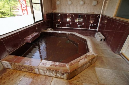 11-47 秘境！奥大井“若返りの湯”接岨峡温泉会館 満喫ペア券（入浴+食事券）