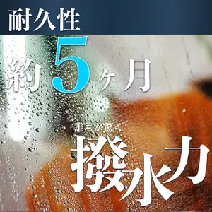 ガラスコーティングはこれで決まり！ウロコ狩り・鎧セット R14134