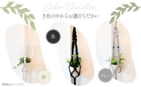 《黒》季節の観葉植物と3色から選べるマクラメハンギングプランターのセット 観葉植物 飾り インテリア マクラメ編み マクラメ ハンギング プランター 鉢 黒 ブラック 手編み おしゃれ 植物 室内