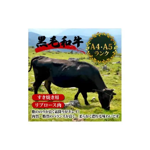 【 牛肉 】 牛肉すき焼き