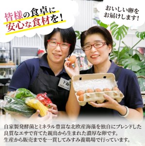 道の駅松浦海のふるさと館『旬のお野菜＋産みたて濃厚玉子6個＋お米5kg』の大満足セット！【B7-039】