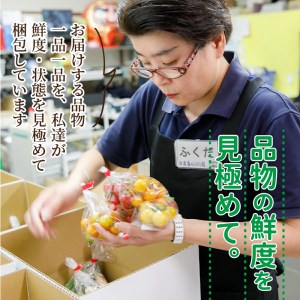 野菜【旬のお野菜大満足セット】道の駅松浦海のふるさと館【A8-040】