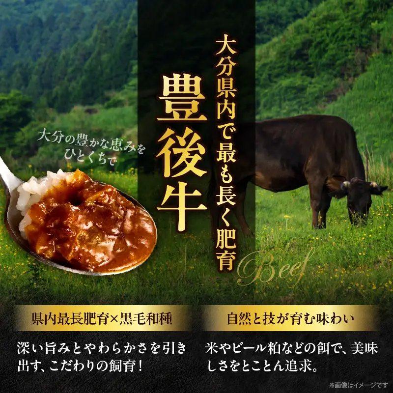 百膳の夢　豊後牛入りスパイシーカレーギフト_B081-010
