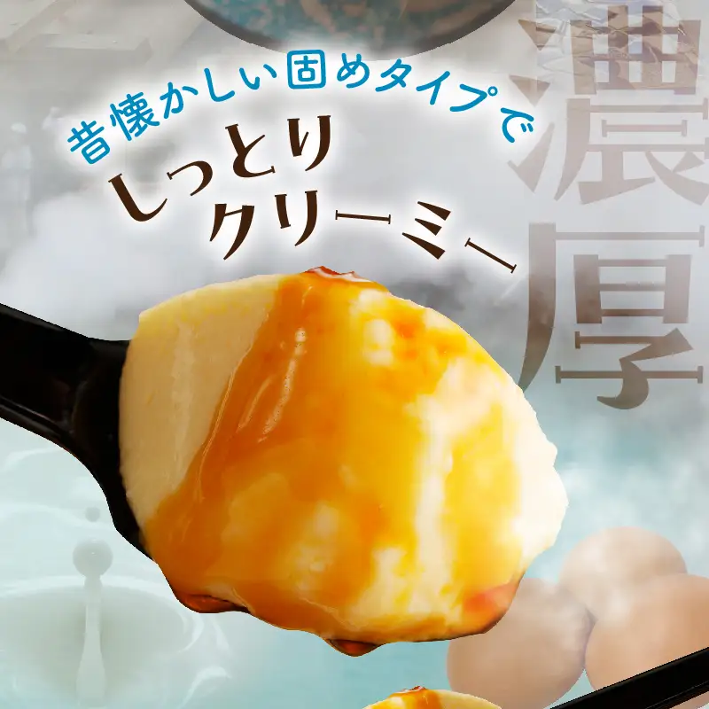 ちょっと大人のほろ苦ぷりん☆別府名物地獄蒸し！（10個入り）_B091-002