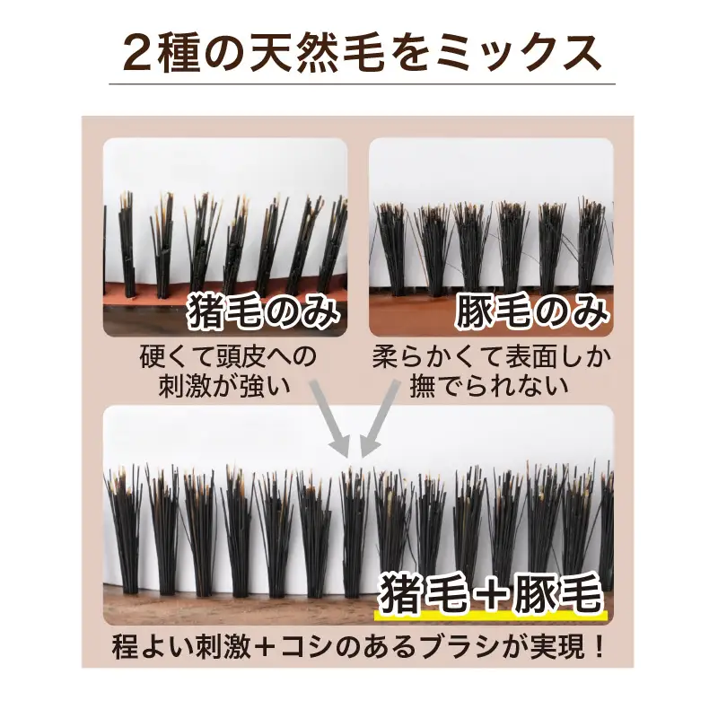 天然毛100％猪毛/豚毛段差植毛ミックスクッションヘアブラシ