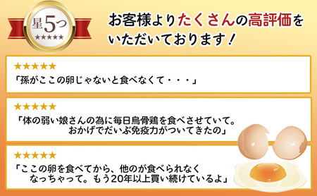 卵 定期便 12ヶ月 烏骨鶏 たまご 20個 高級卵 烏骨鶏の卵 健康 卵かけご飯 定期 12回