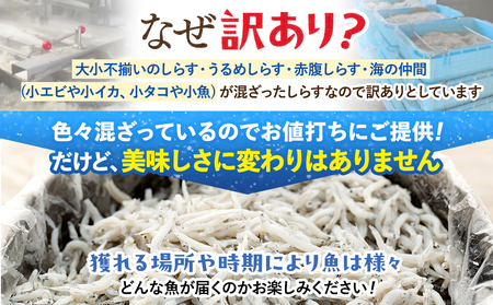 訳あり 釜揚げしらす 1kg 冷凍 愛知県南知多町 日間賀島