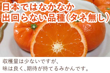 『先行予約』【令和9年2月中旬発送】マーコット(ハウス栽培) 唐津産 3kg みかん ミカン 果物 フルーツ