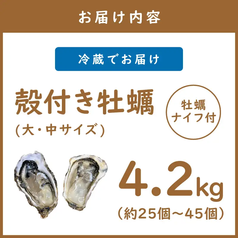 【予約：2026年10月下旬から順次発送】サロマ湖産 殻付き2年牡蠣 4.2kg サイズ不揃い ※牡蠣ナイフ付 ( カキ かき 4.2キロ 魚介 海鮮 貝 ふるさと納税 BBQ バーベキュー )【113-0014-2026】
