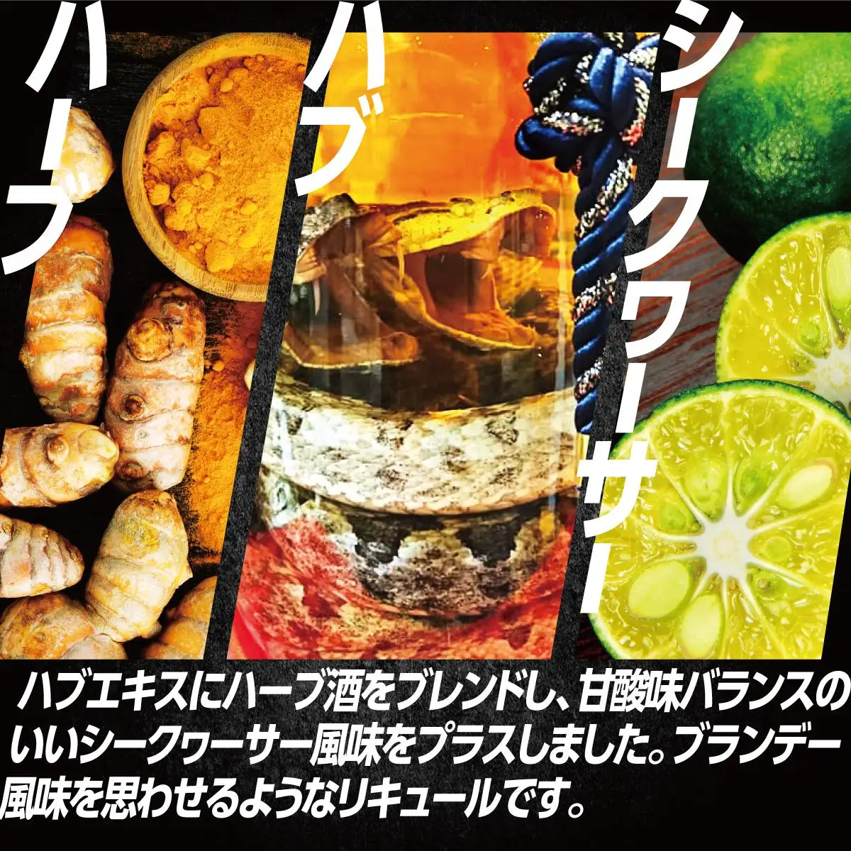琉球ハブボール用源酒35度1500ml PET   