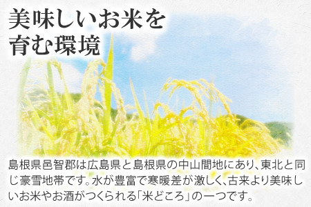 〈先行予約〉新米 令和6年産 美郷町産コシヒカリ 玄米 10kg【お米 10kg 1袋 玄米 ブランド米 米 こしひかり お米 先行予約 2024年産】