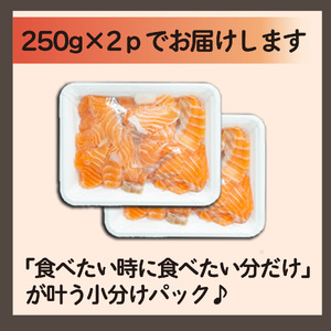 サーモン 計500g サーモン