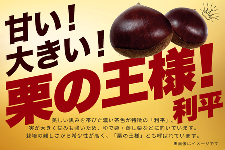 生栗 2kg 利平 栗 くり 国産 2L サイズ 以上 大きい 大粒 取り寄せ