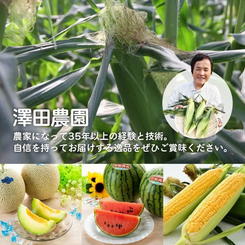 【先行予約】秋とうもろこし 8本 おおもの 黄色 朝採り ／ 期間限定 数量限定 ハウス栽培 産地直送 甘い スイートコーン とうもろこし 野菜 あわら ※2026年10月10日より順次発送 [aw039-a011]
