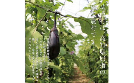 朝どれ！野菜の詰合せ／芸西村で採れた新鮮な野菜6～8種類をお届けします。