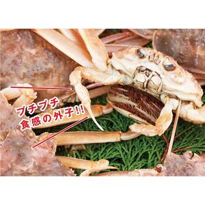 鳥取県産 活親がに 大(訳あり)【中村商店】