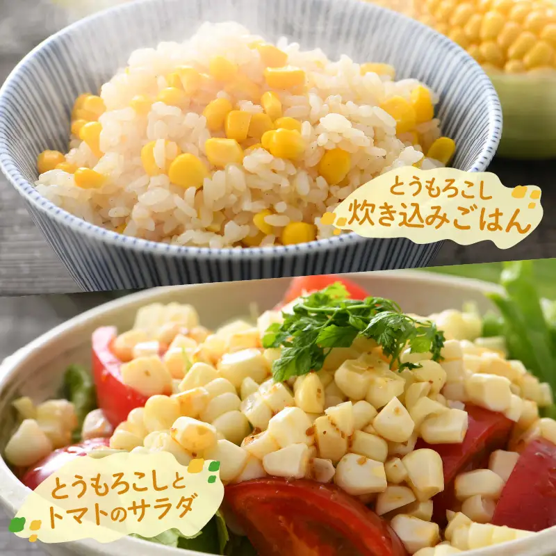【先行予約】秋とうもろこし 黄色 白色 計8本 おおもの 朝採り ／ 期間限定 数量限定 ハウス栽培 産地直送 甘い ミックス スイートコーン 白い とうもろこし ホワイトコーン 野菜 あわら ※2026年10月10日より順次発送 [aw039-a012]