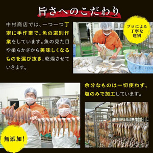 山陰のおすすめ干物セット【中村商店】