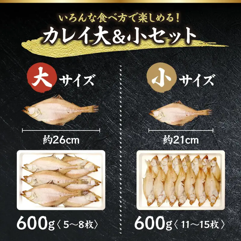 干物 干カレイセット 合計1.2kg以上（大5～8枚 約600g、小11～15枚 約600g）国産 冷凍 33-13
