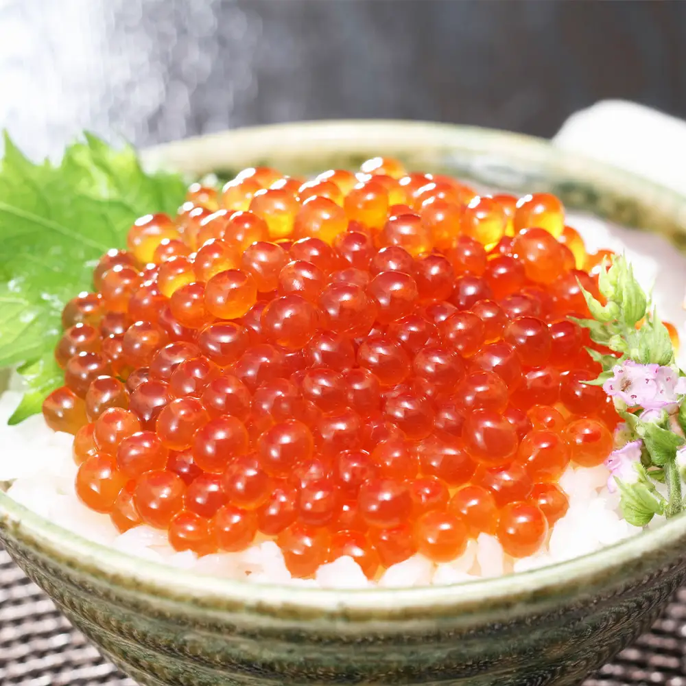 佐藤水産 いくらと鮭ルイベ漬・石狩味の3種セット