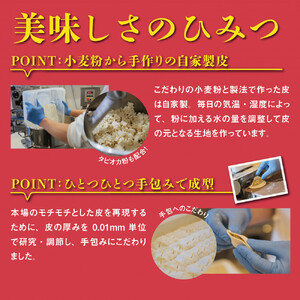 台湾水餃子 豚水餃子 60個セット (30個入り×2パック)