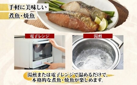 〈山陰大松〉氷温熟成　煮魚・焼魚ギフトセット１０切　IN-100
