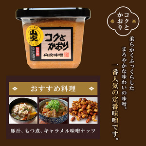 味噌 山吹味噌 コクとかおり 500g×6 セット 信州味噌 みそ ミソ 熟成 信州 信州みそ 無添加  調味料 小分け 長野県 長野 