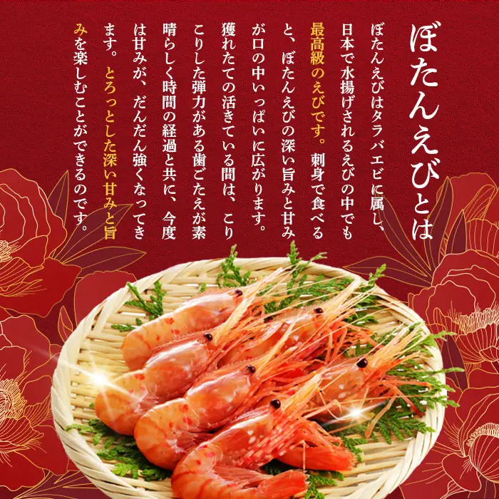 超速リキッド凍結でドリップゼロ！北海道羽幌産生鮮ぼたんえび 600g（200g×3パック）【0311801】