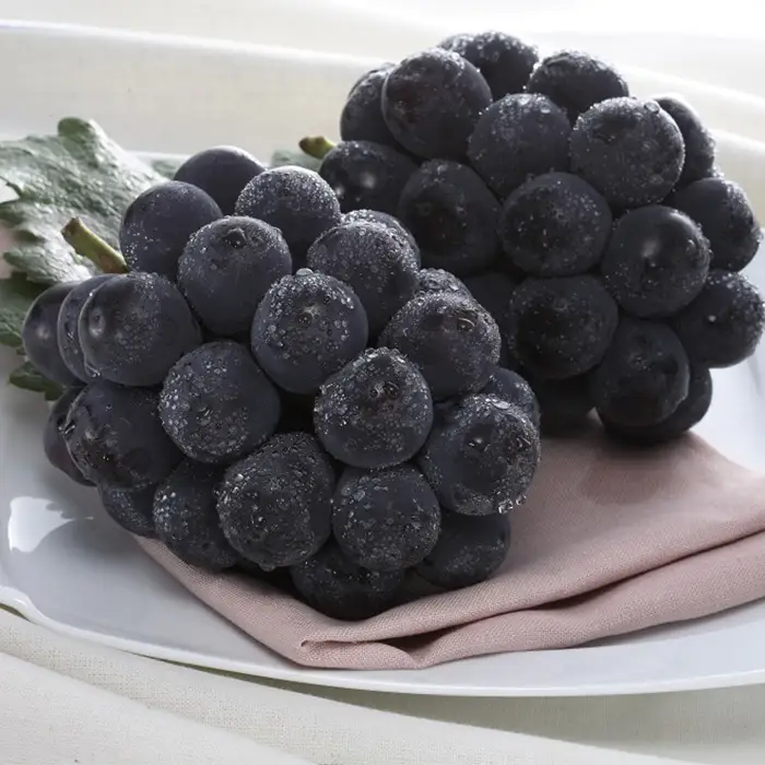 岡山県産 種無し ピオーネ2房（約1.2kg）【2026年8月下旬～9月中旬発送予定】（いばら愛菜館）