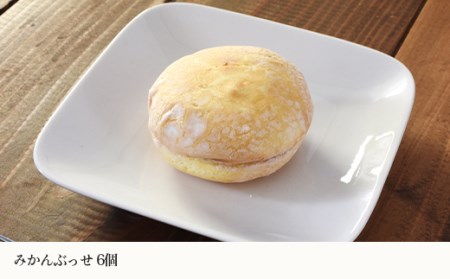 菓子詰合せ（21個入り）W-300